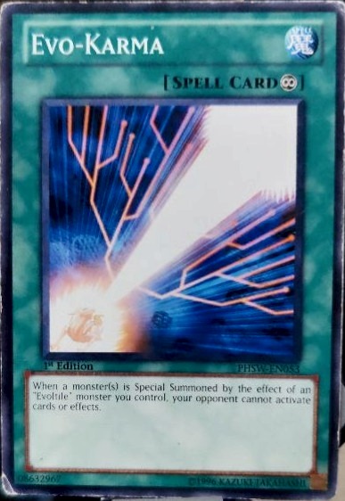 Evo-Karma