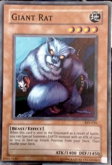 Giant Rat