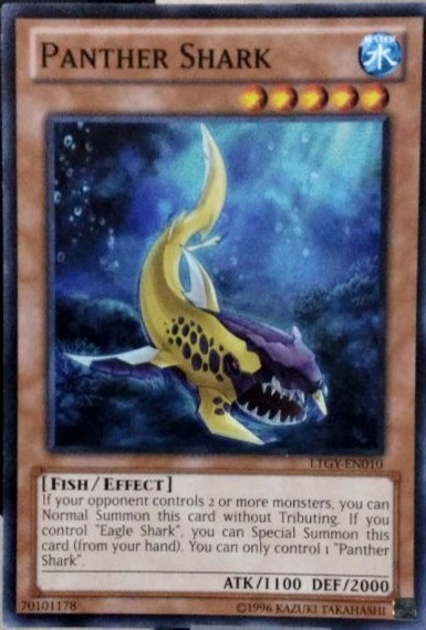 Panther Shark