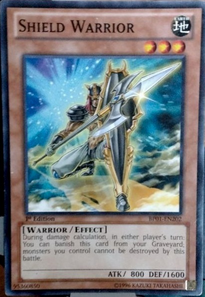 Shield Warrior