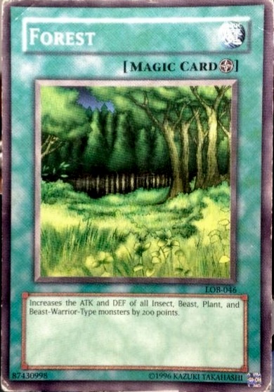 Forest