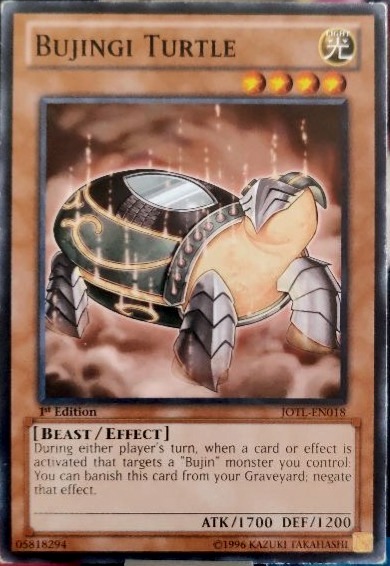Bujingi Turtle