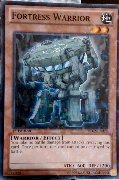 Fortress Warrior