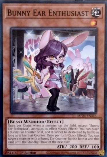 Bunny Ear Enthusiast