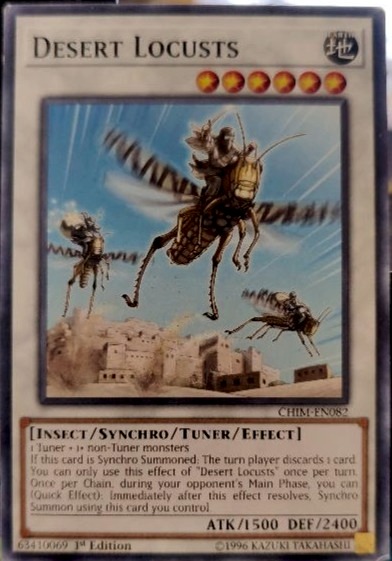 Desert Locusts