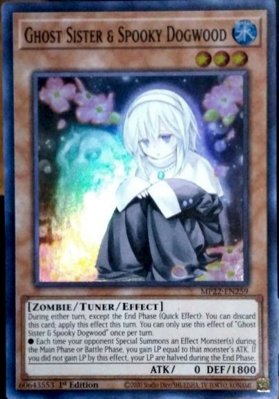 Ghost Sister & Spooky Dogwood