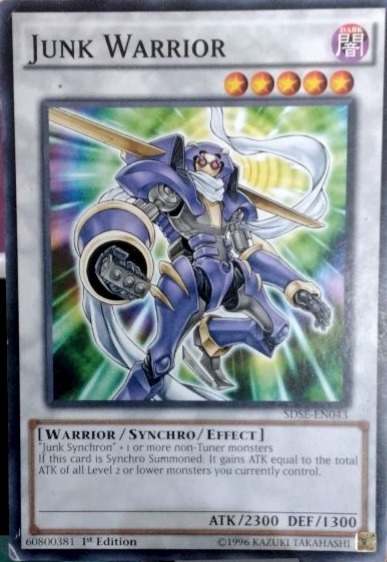 Junk Warrior