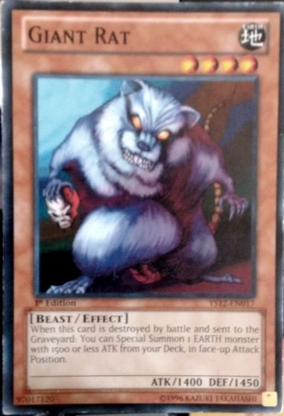 Giant Rat