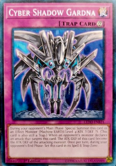 Cyber Shadow Gardna