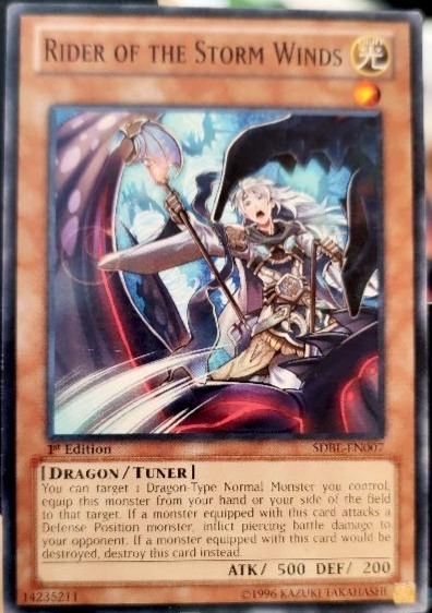 Rider of the Storm Winds