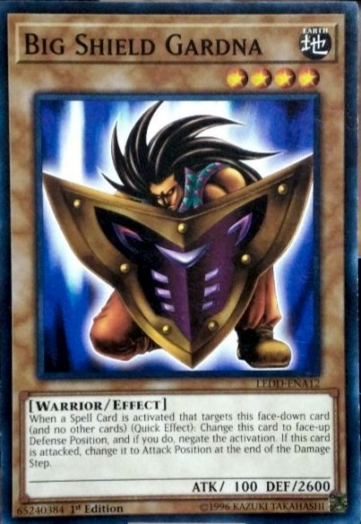 Big Shield Gardna