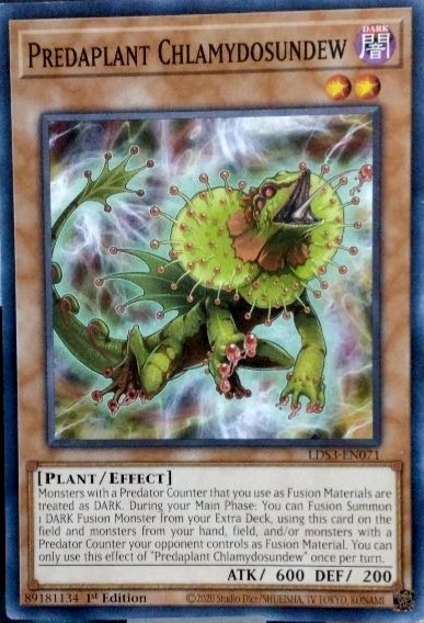 Predaplant Chlamydosundew