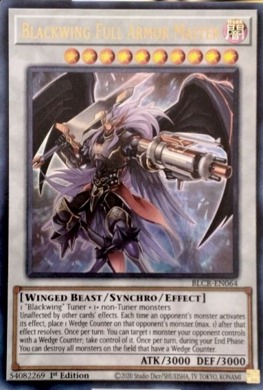 Blackwing Full Armor Master