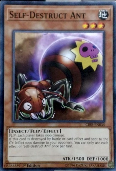 Self-Destruct Ant