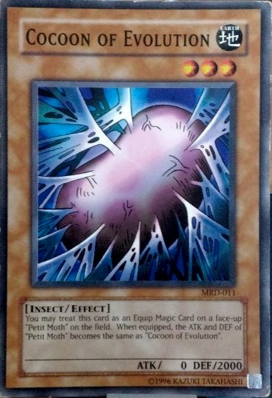 Cocoon of Evolution