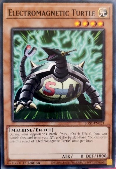 Electromagnetic Turtle