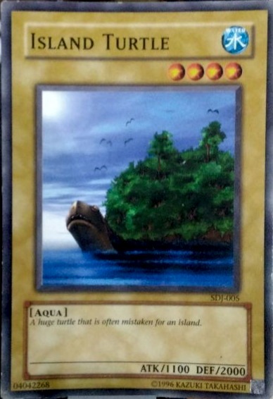 Island Turtle