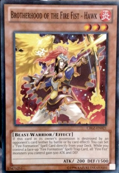 Brotherhood of the Fire Fist - Hawk