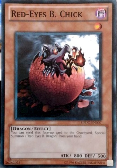 Black Dragon's Chick