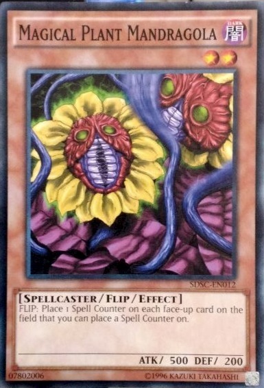 Magical Plant Mandragola