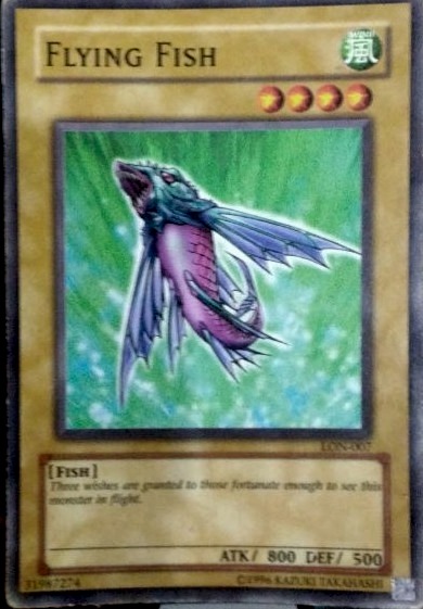 Flying Fish